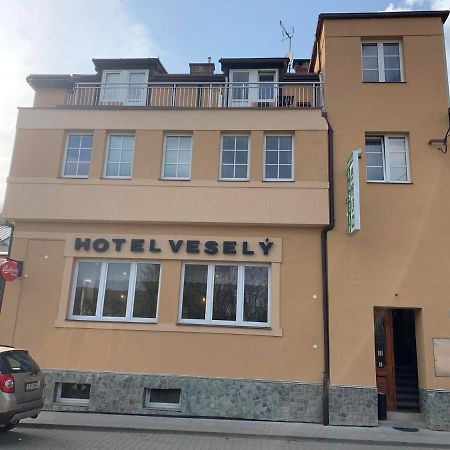 Penzion Vesely Zelezny Brod Exteriör bild