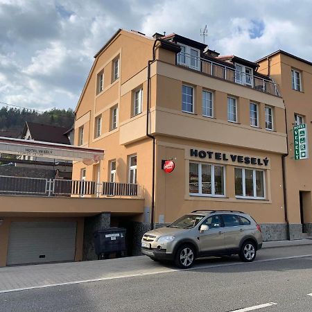 Penzion Vesely Zelezny Brod Exteriör bild